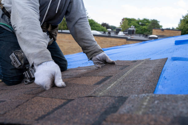 Best Storm Damage Roof Repair  in Millis Clicquot, MA