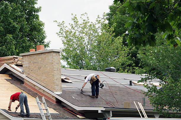 Best Roof Gutter Cleaning  in Millis Clicquot, MA